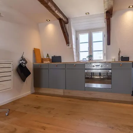 Dachstuv Von Esmarch Appartement *